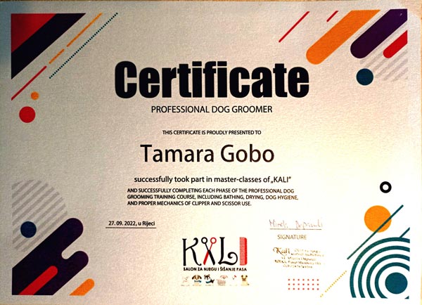 Certificate dog grooming